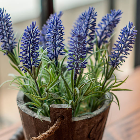 LAVANDA GRIS